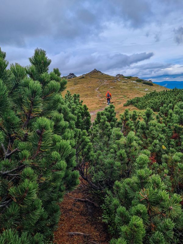 Гори чекають | Досвідчений мандрівник з Коломиї про походи в Карпати 7