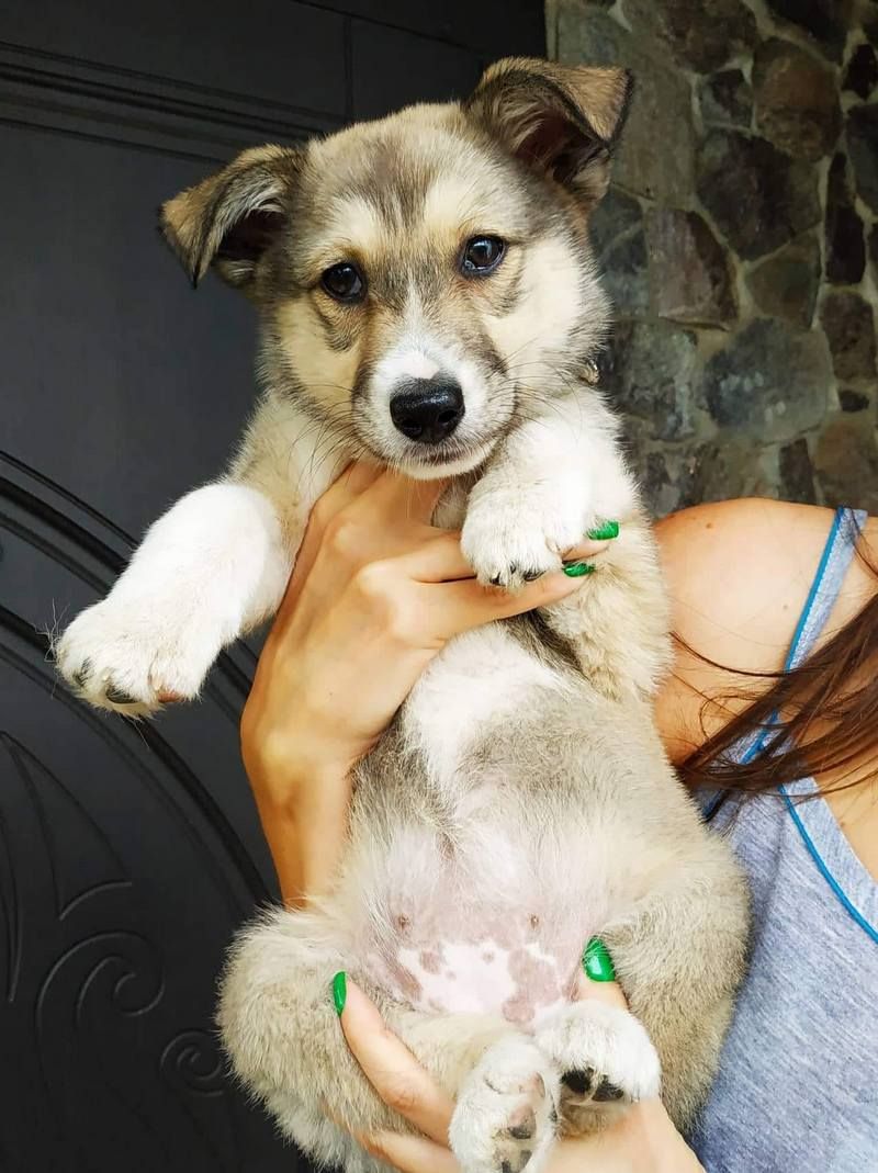 Стань мені другом: Толік і Ко у пошуках сім'ї в Коломиї 9