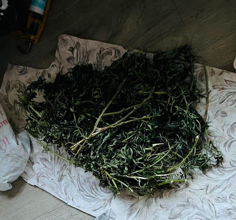 Ціла група наркодилерів працювала в Коломиї та Надвірній 3