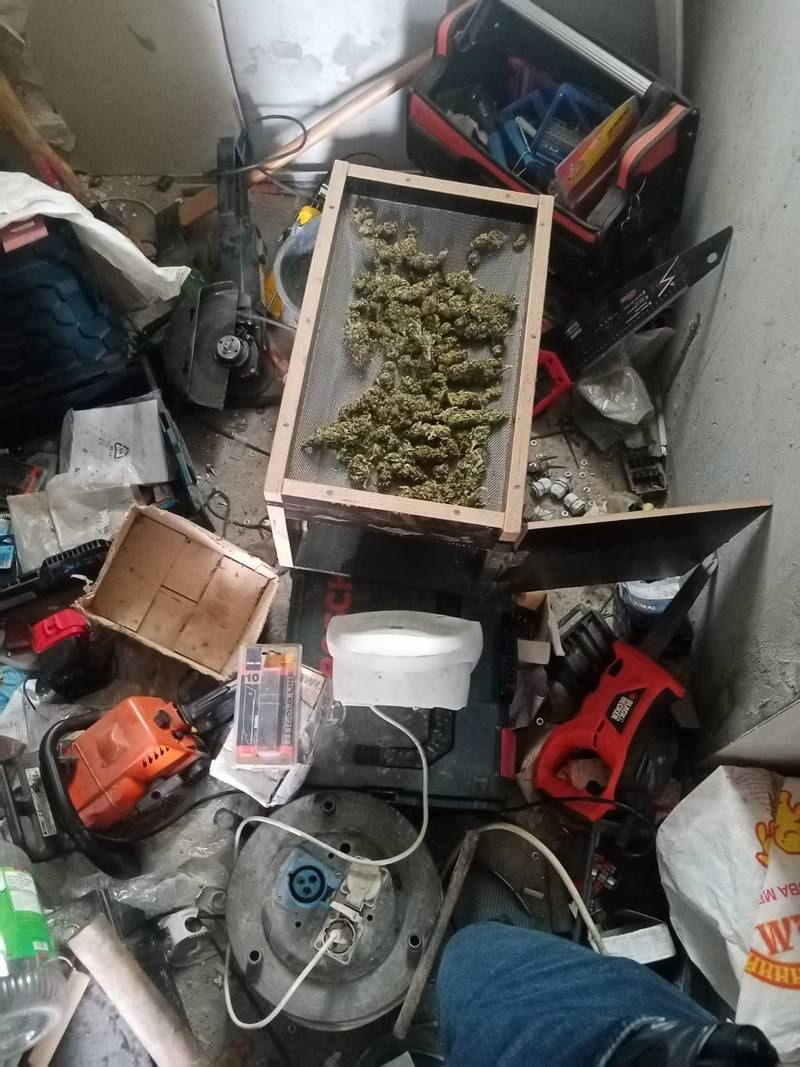 На Прикарпатті вилучили наркотики на понад 30 млн грн 5