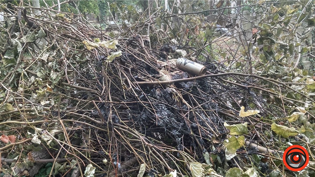 Пожежа на кладовищі: горіло сміття 1