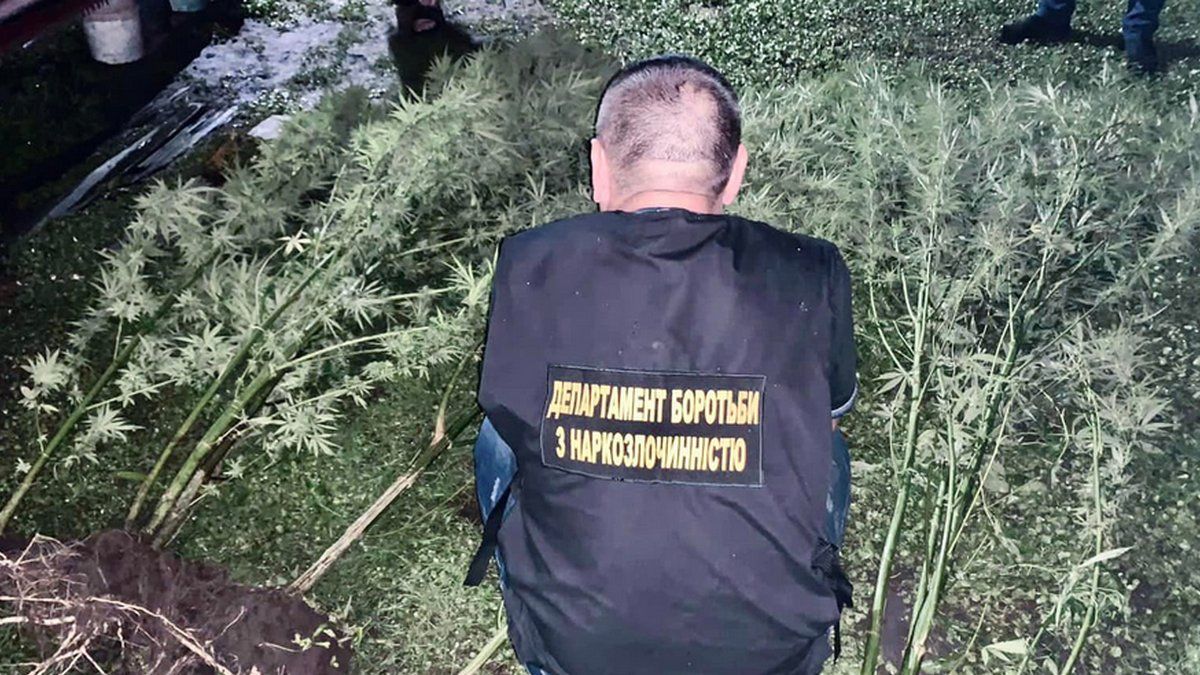 Наркотиків на мільйон вилучили на Прикарпатті всього за тиждень 3