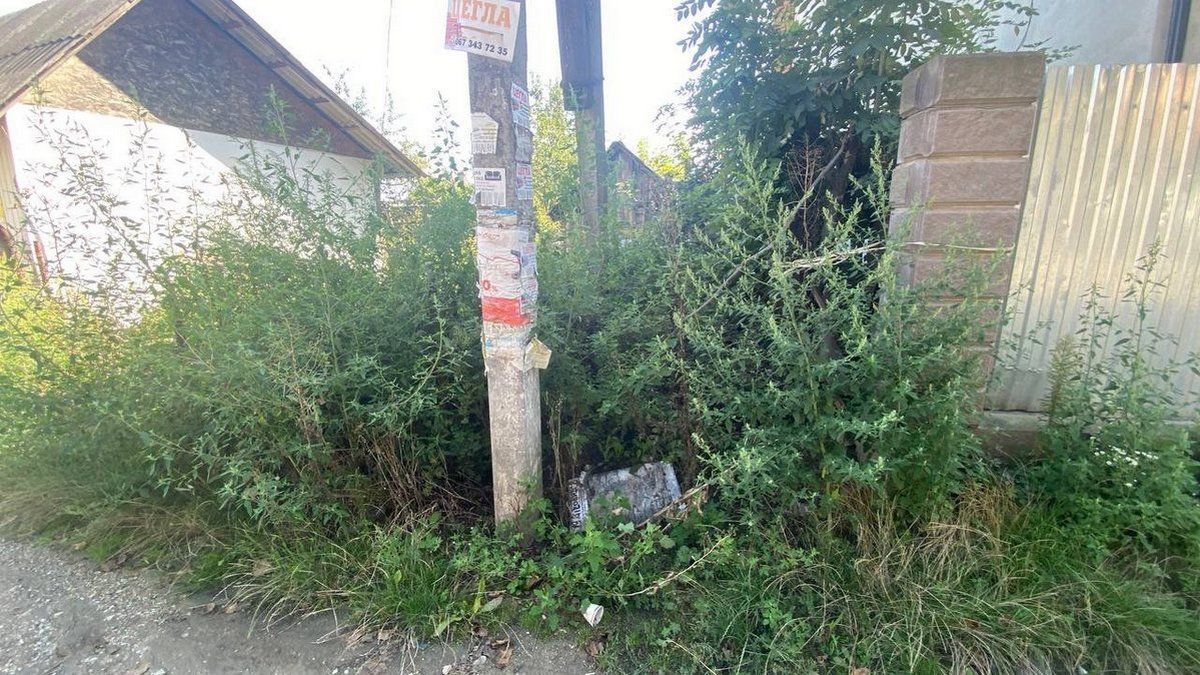 Міськрада Городенки показала поганих ґаздів і пригрозила оприлюднити імена 3