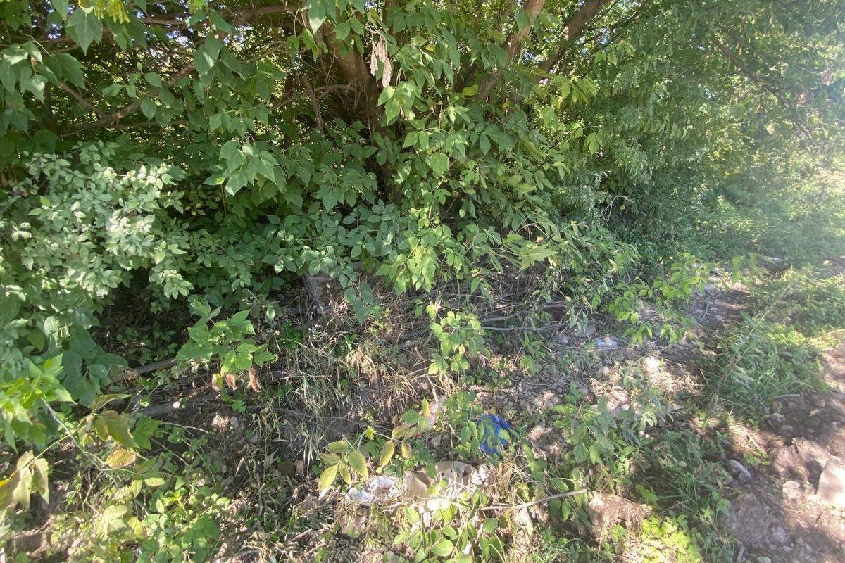 Міськрада Городенки показала поганих ґаздів і пригрозила оприлюднити імена 10