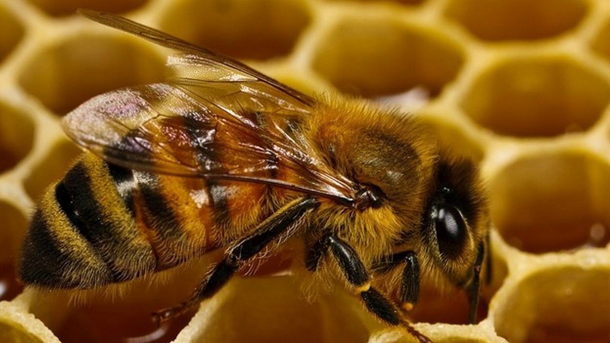 21 серпня - кого вітаємо та що святкуємо? 1