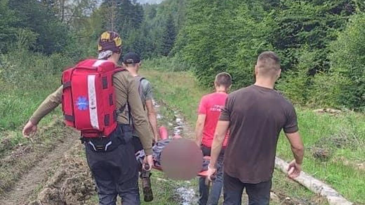 Травма ноги і навала шершнів - рятувальники допомагали людям в горах 1