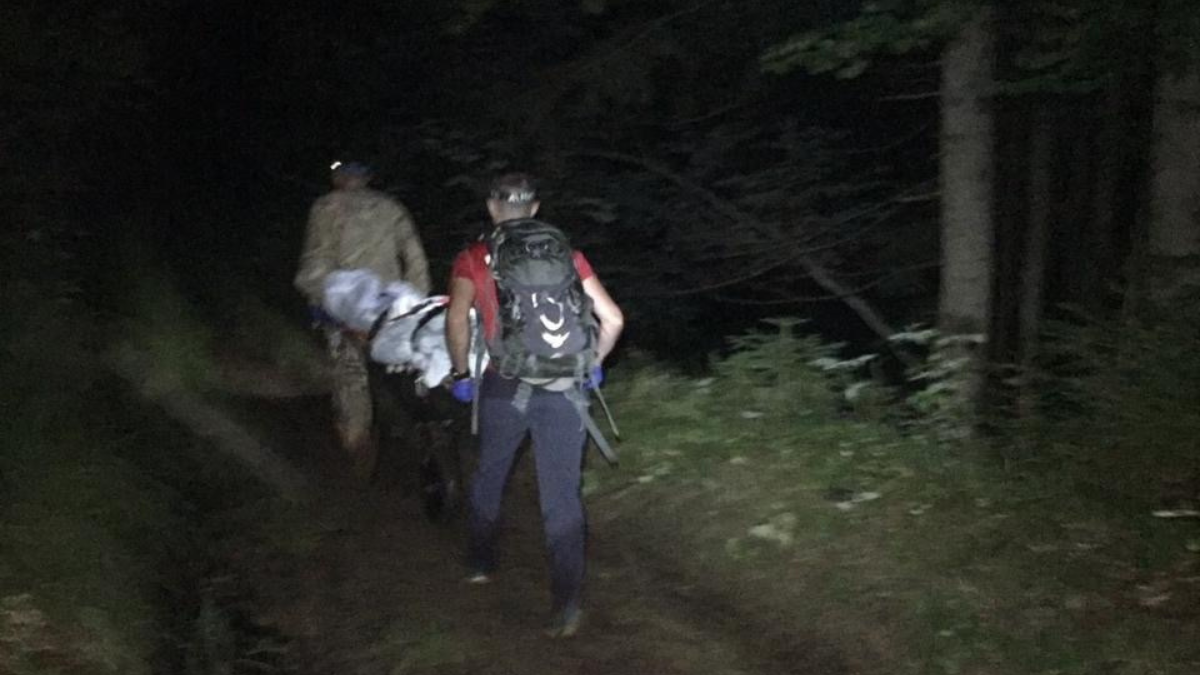 У горах помер чоловік від укусів ос | Рятувальники вже транспортували тіло 1