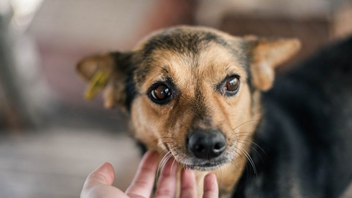 20 серпня - який сьогодні день? 1