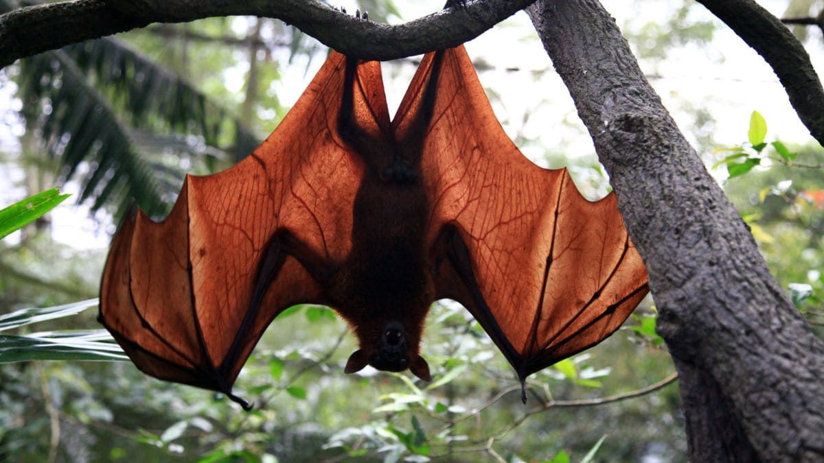 Що святкуємо 27 серпня? 3