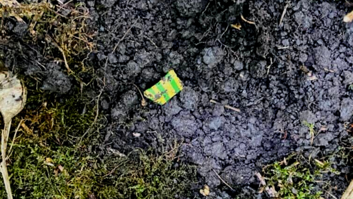 Зловили на гарячому: У Тлумачі затримали наркоторговця 3