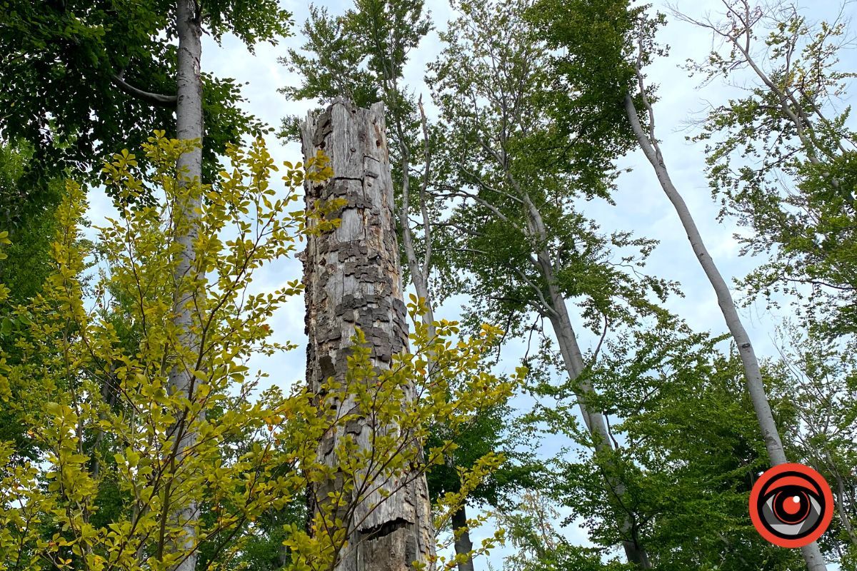 Відпочинок поруч | Марківський водоспад та найвища гора у Коломийському районі 6