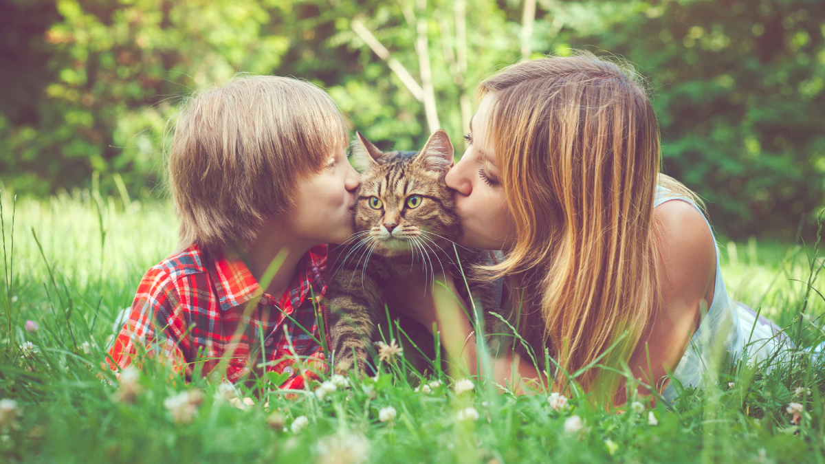 25 серпня - свята, іменинники та пам'ятні дати 1