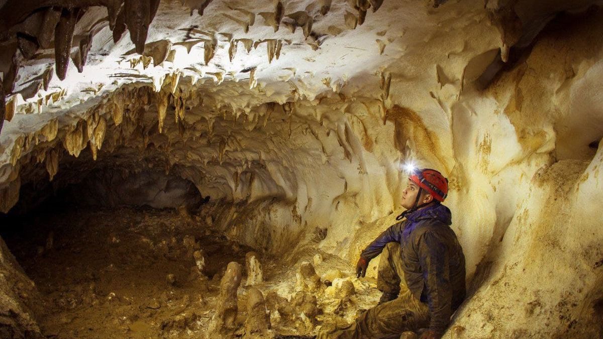 4 серпня - який сьогодні день? 5