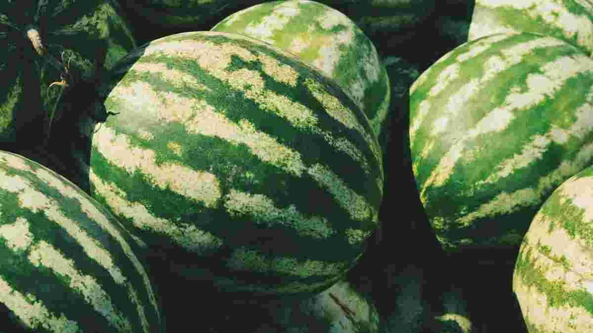 3 серпня: кого вітаємо та що святкуємо 1