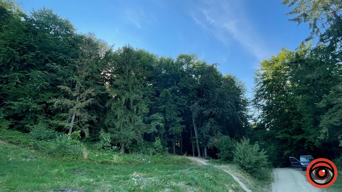 Високогірна Марківка: цілюща криниця й басейн над урвищем 4