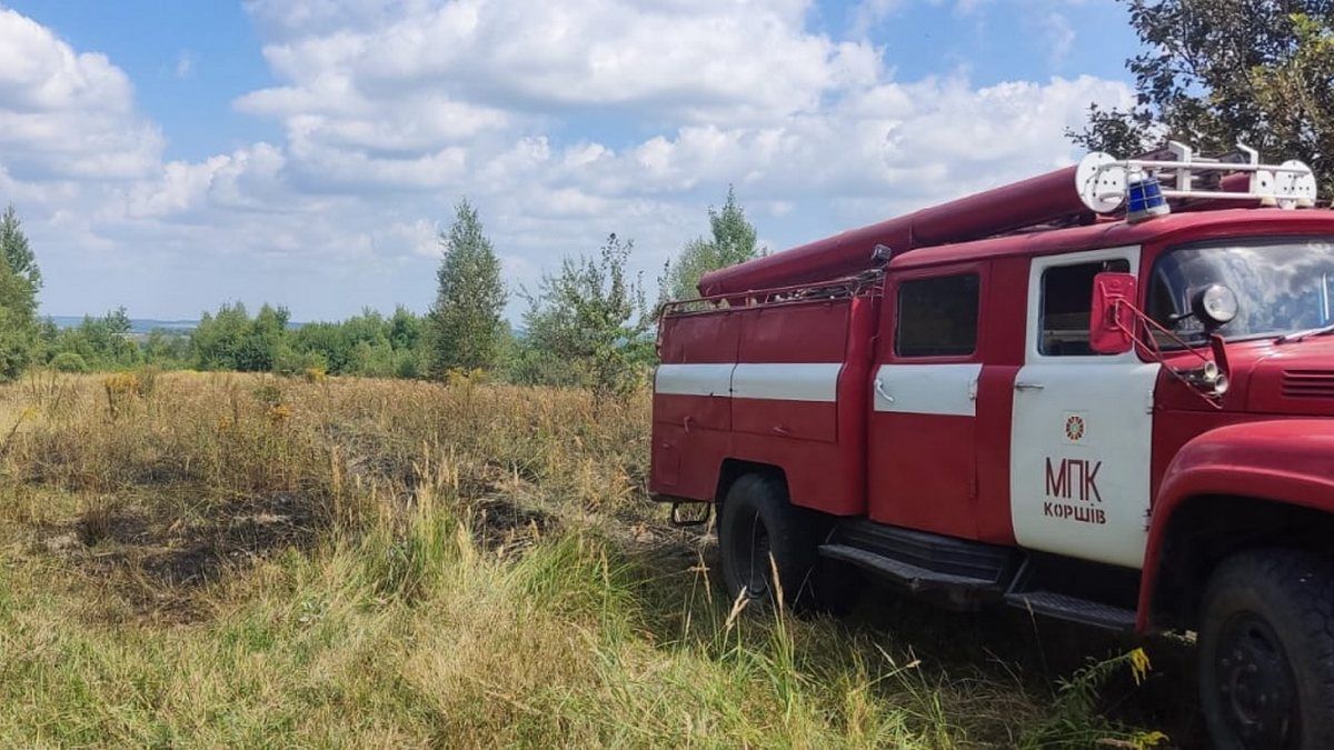 Чергова пожежа на Коломищині | горіла трава 2