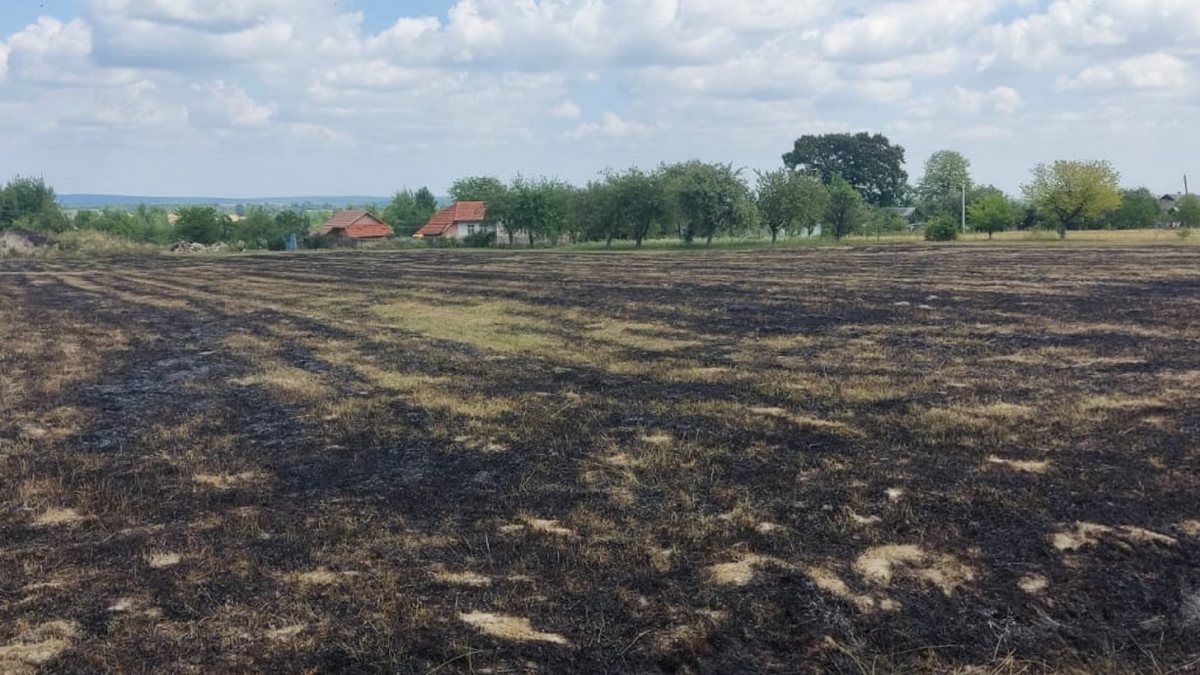 Чергова пожежа на Коломищині | горіла трава 1