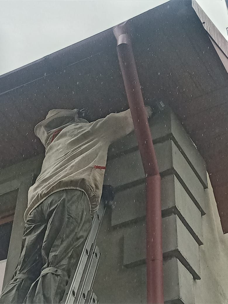 У Коршівській ТГ рятувальники знімали шершнів 1