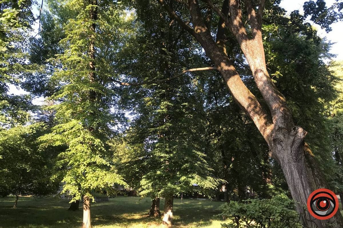 Яблунівський базар: здибанки, закупи і теревені 1