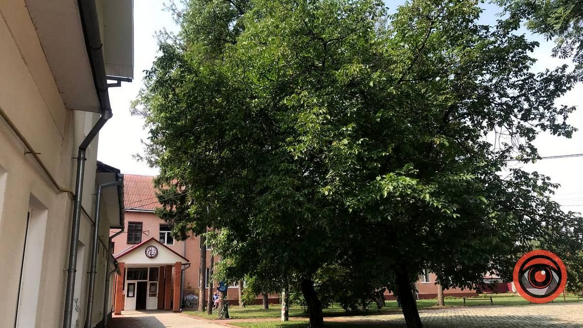 Коломийський педагогічний коледж: повна готовність до приходу студентів 4