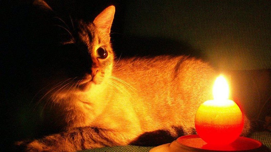 У Тюдові й Кутах вимикатимуть світло 25 серпня