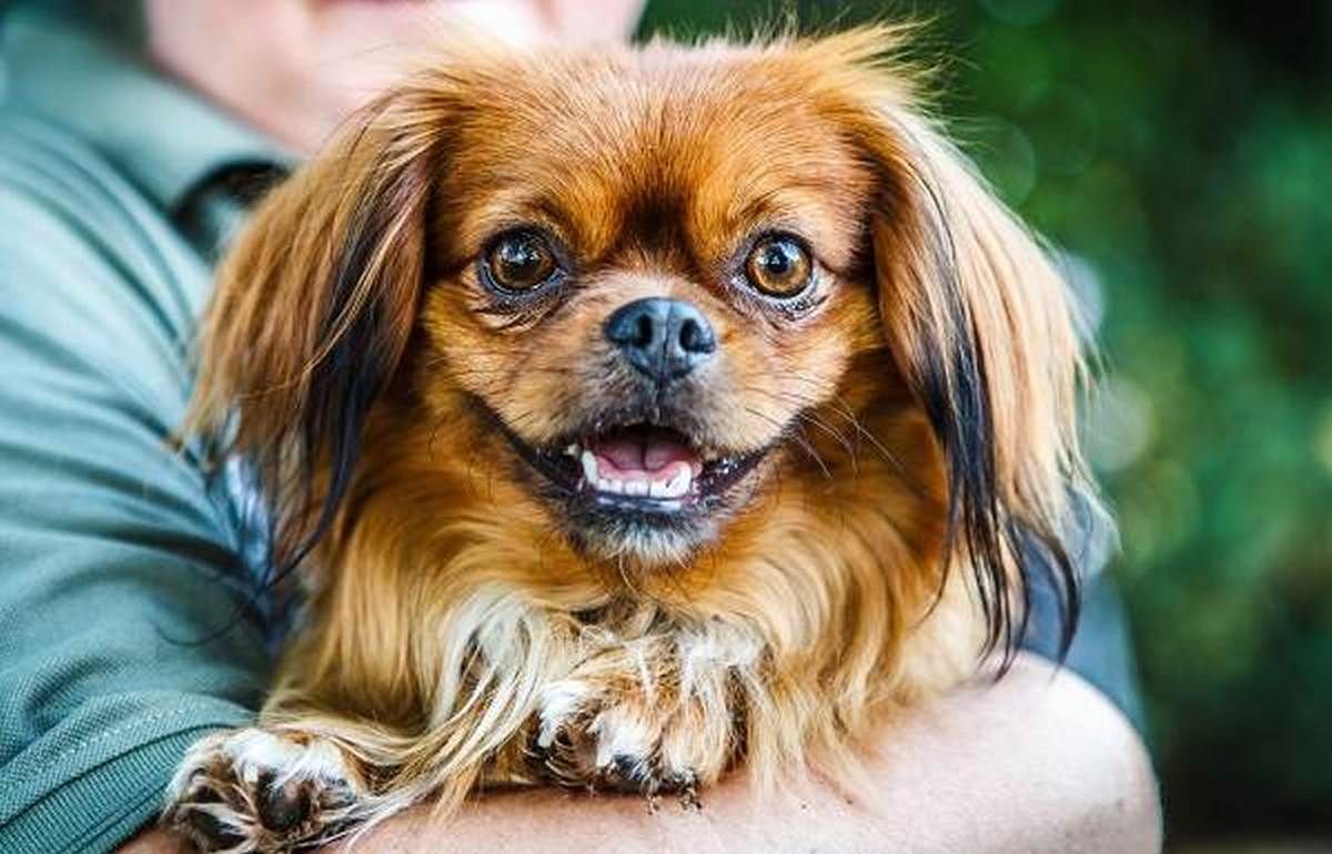 Іменинники, свята і дати 26 серпня 2