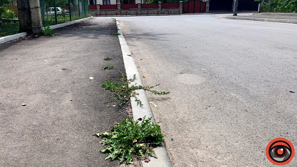 Бур'ян переміг асфальт: скільки Коломиї обійшовся ремонт вул. Винниченка 5