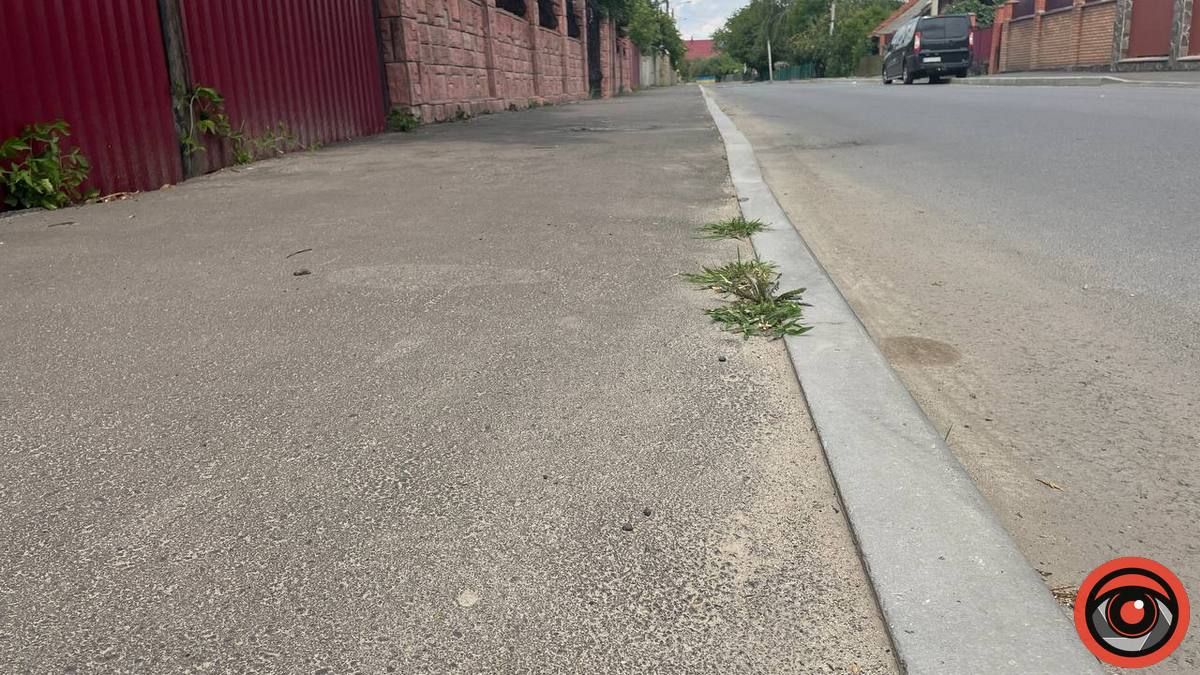 Бур'ян переміг асфальт: скільки Коломиї обійшовся ремонт вул. Винниченка 6