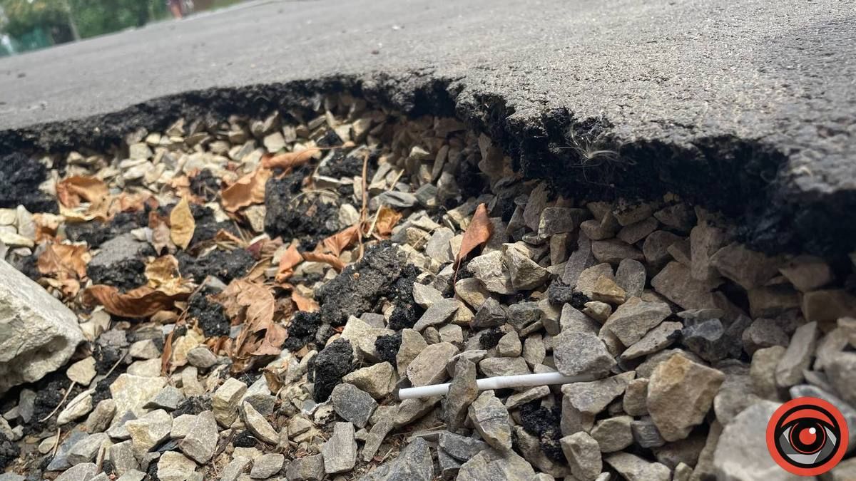 Бур'ян переміг асфальт: скільки Коломиї обійшовся ремонт вул. Винниченка 10