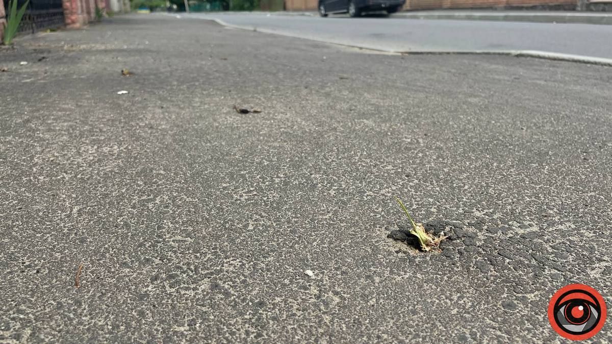 Бур'ян переміг асфальт: скільки Коломиї обійшовся ремонт вул. Винниченка 7