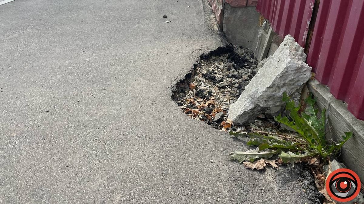 Бур'ян переміг асфальт: скільки Коломиї обійшовся ремонт вул. Винниченка 11