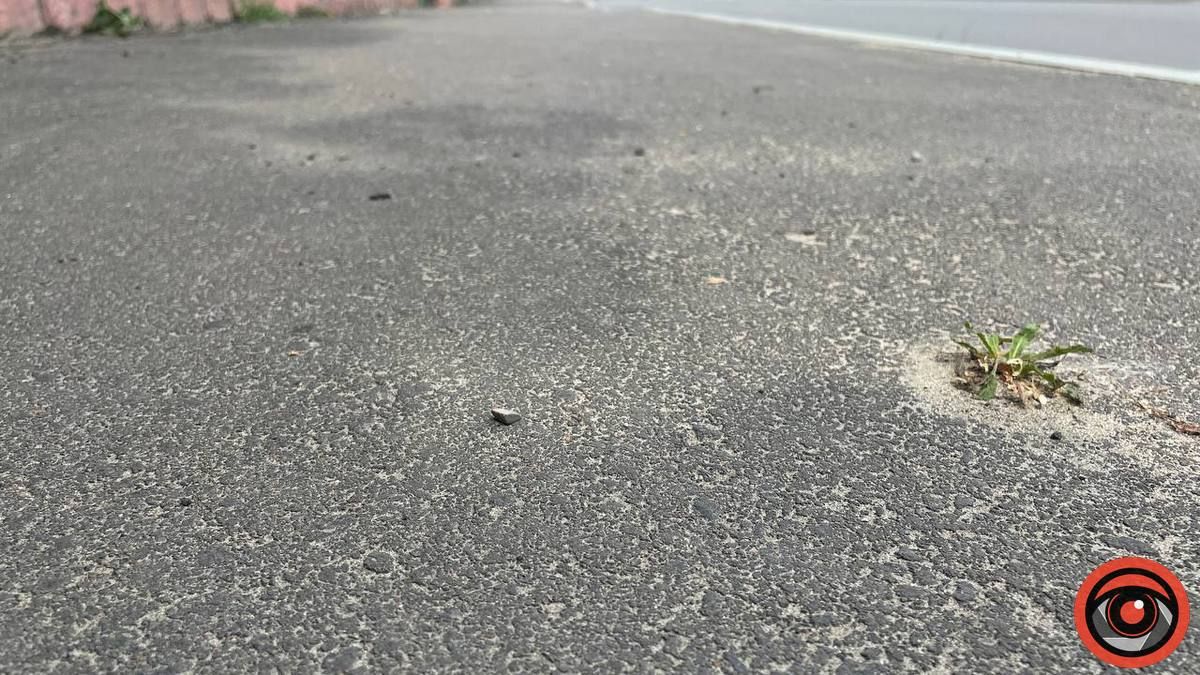 Бур'ян переміг асфальт: скільки Коломиї обійшовся ремонт вул. Винниченка 8