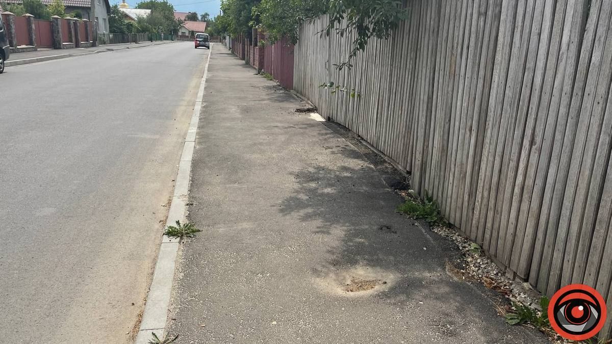 Бур'ян переміг асфальт: скільки Коломиї обійшовся ремонт вул. Винниченка 2