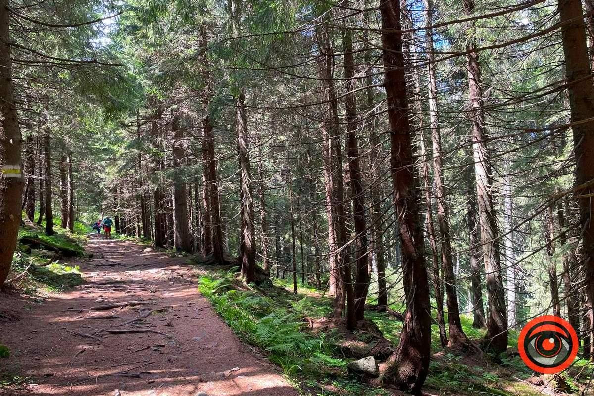 Місце сили та величі: озеро Несамовите в Карпатах 2