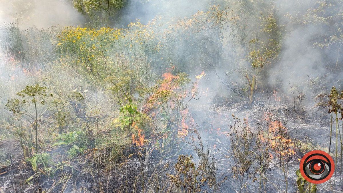 У Коломиї вогнеборці гасили підпали сухої трави 4
