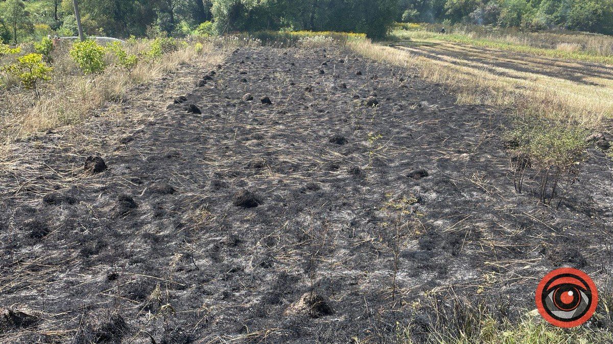У Коломиї вогнеборці гасили підпали сухої трави 5