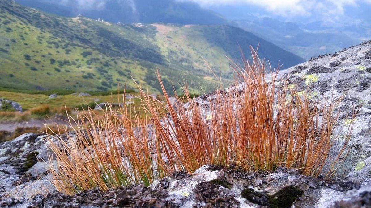 До уваги туристів: в горах справжня осінь