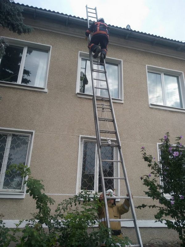 У Городенці рятувальники допомогли зняти кота з даху 1