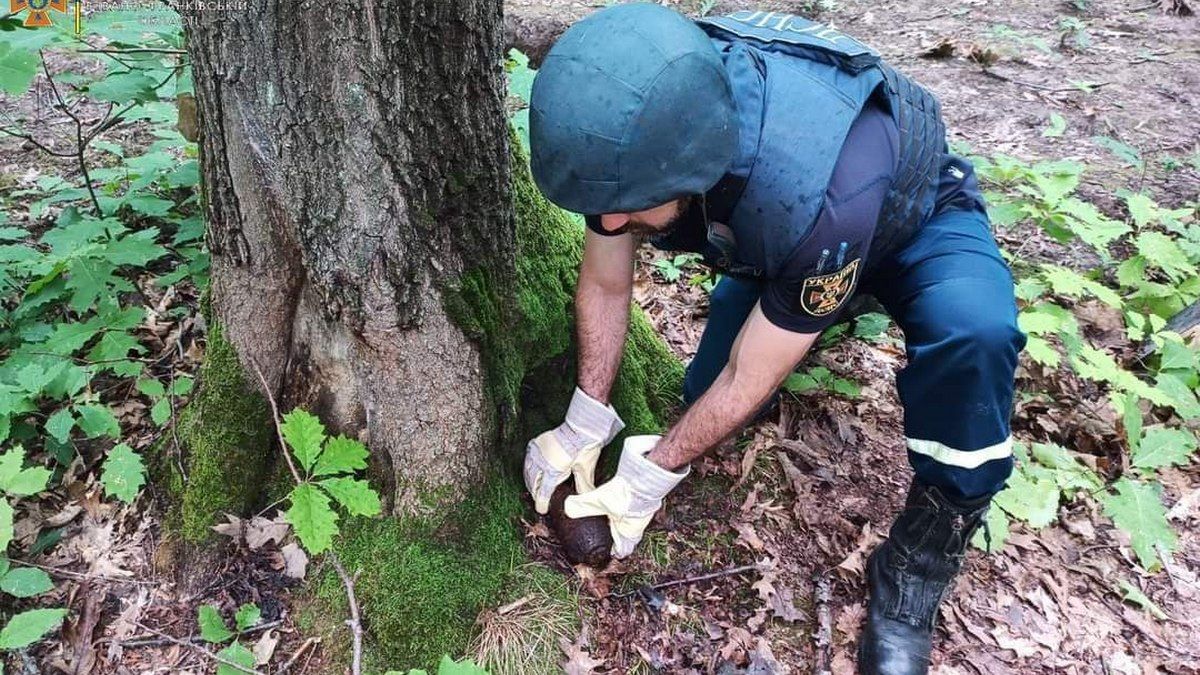 У селі Паляниця біля будинку знайшли артилерійський снаряд