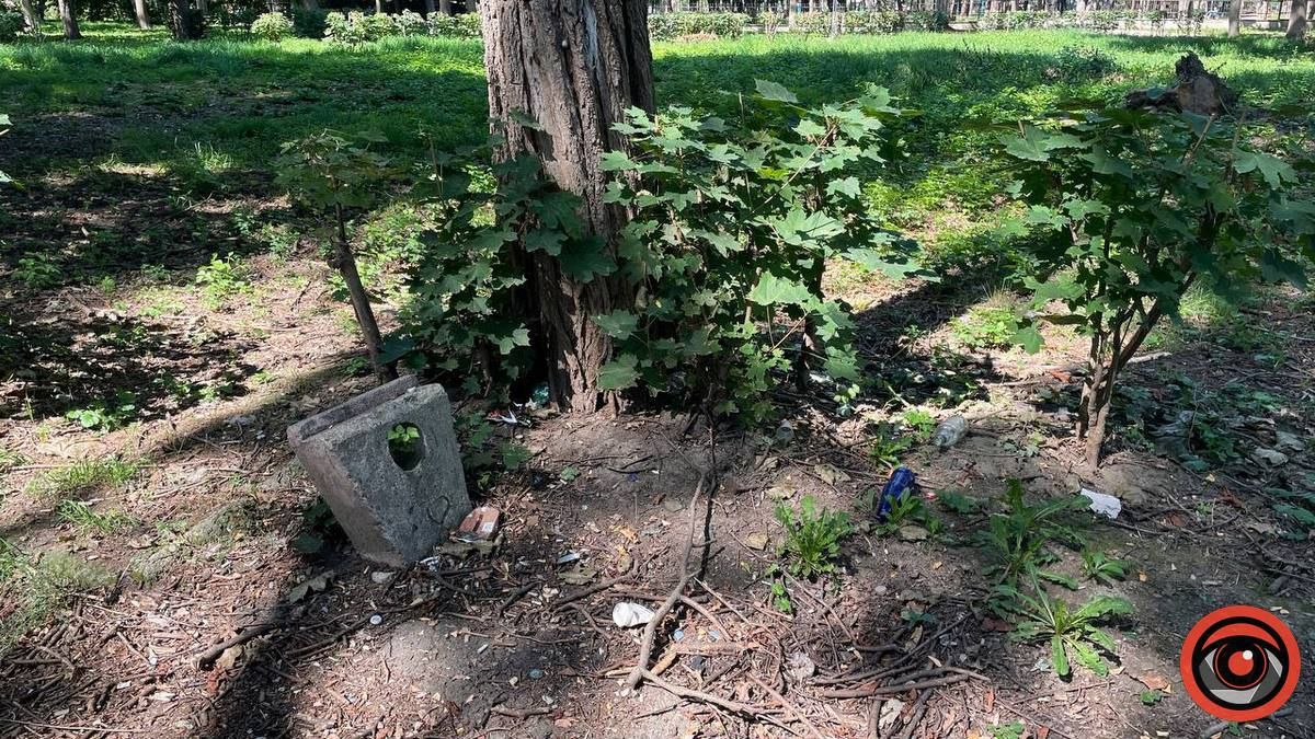 Сідайте, не покалічтеся | Як нині виглядає зона відпочинку на міському озері 2