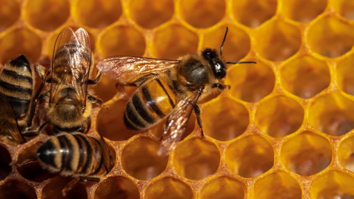 21 серпня - кого вітаємо та що святкуємо?