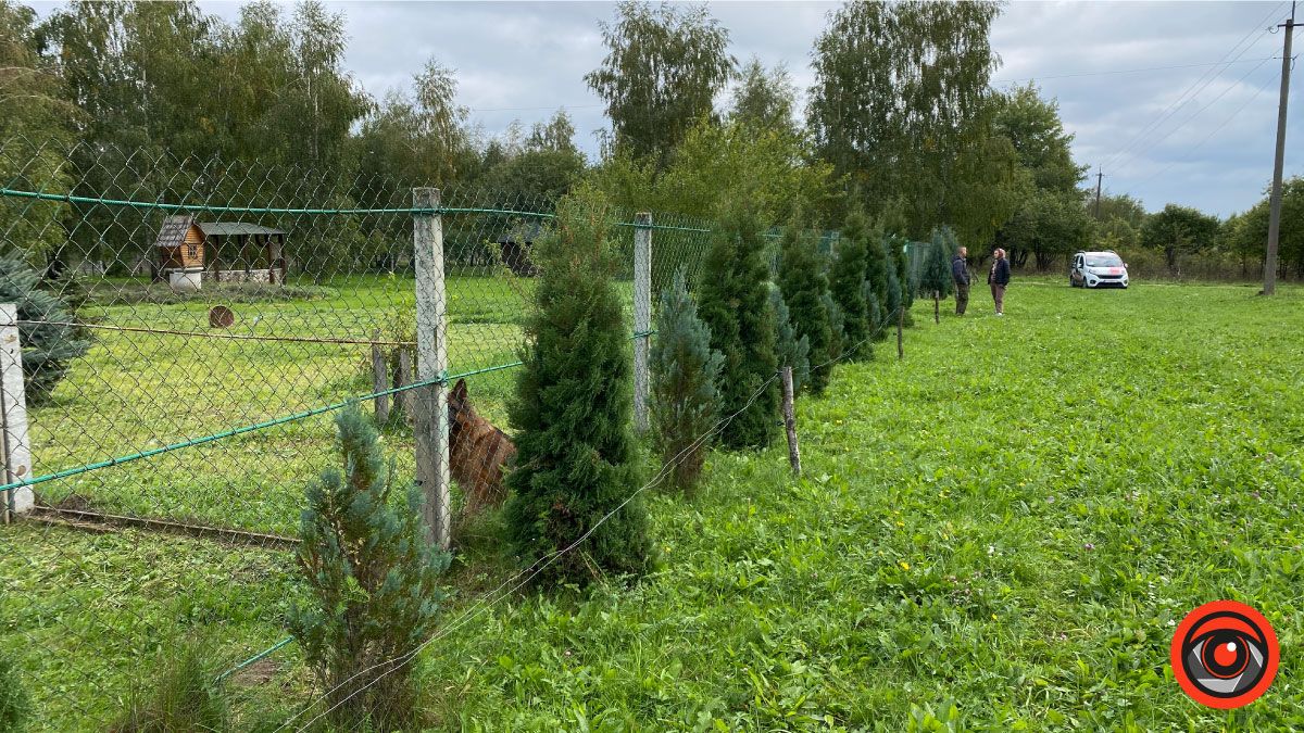Успішний коломийський підприємець обрав тихе життя і екоферму замість розкошів міста 7