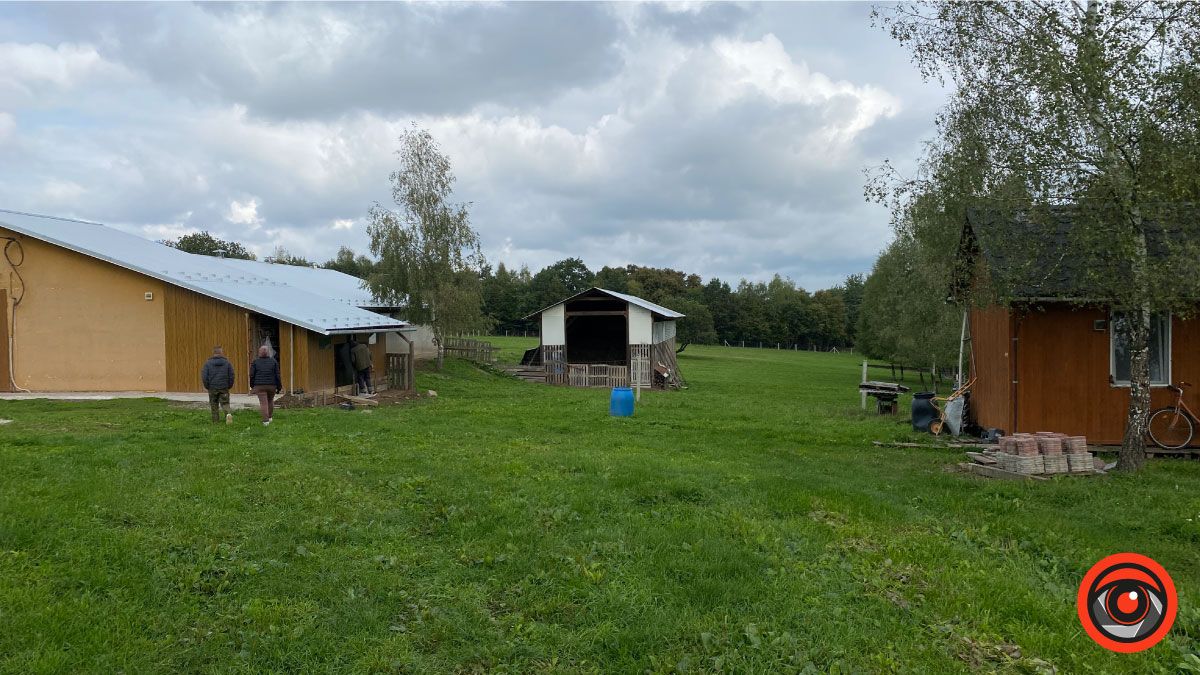 Успішний коломийський підприємець обрав тихе життя і екоферму замість розкошів міста 13