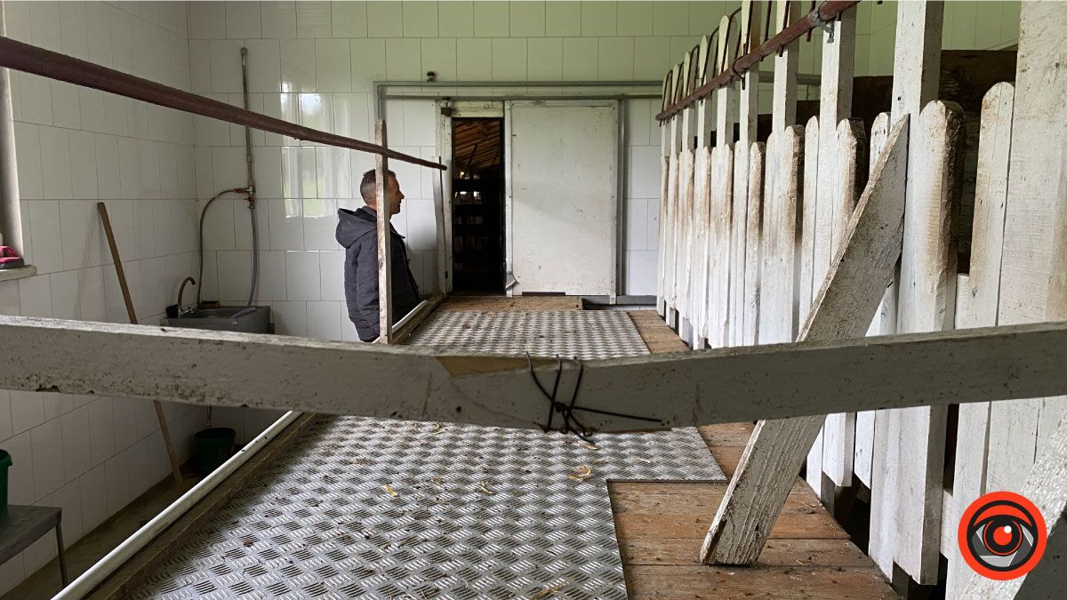 Успішний коломийський підприємець обрав тихе життя і екоферму замість розкошів міста 5