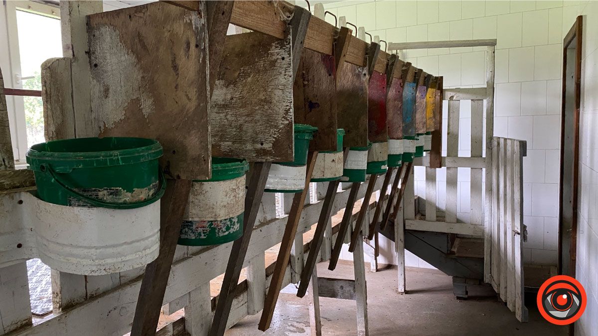 Успішний коломийський підприємець обрав тихе життя і екоферму замість розкошів міста 4