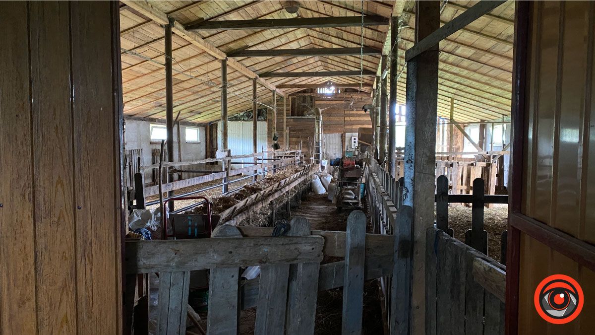 Успішний коломийський підприємець обрав тихе життя і екоферму замість розкошів міста 3