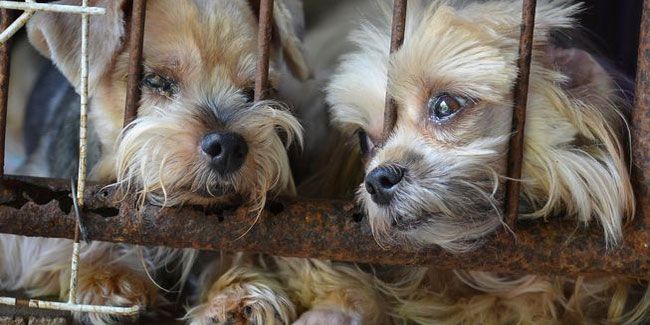 Що святкуємо та кого привітати 17 вересня? 2