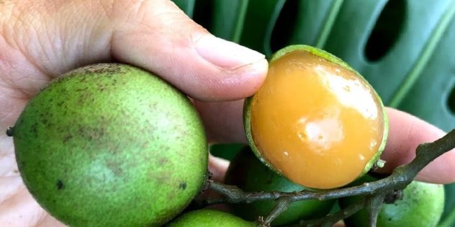 Що святкуємо та кого привітати 17 вересня? 4