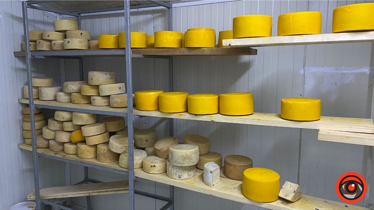 Успішний коломийський підприємець обрав тихе життя і екоферму замість розкошів міста 8