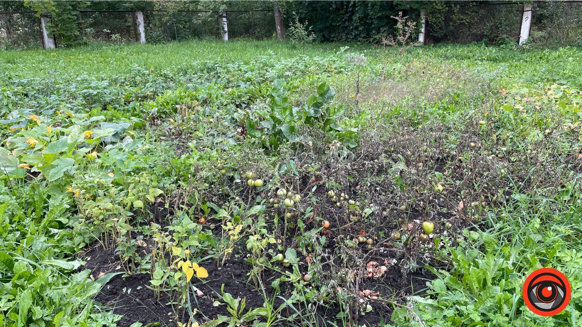 Мінус одна група: як ведеться садочку №20 на вул. Маковея 19